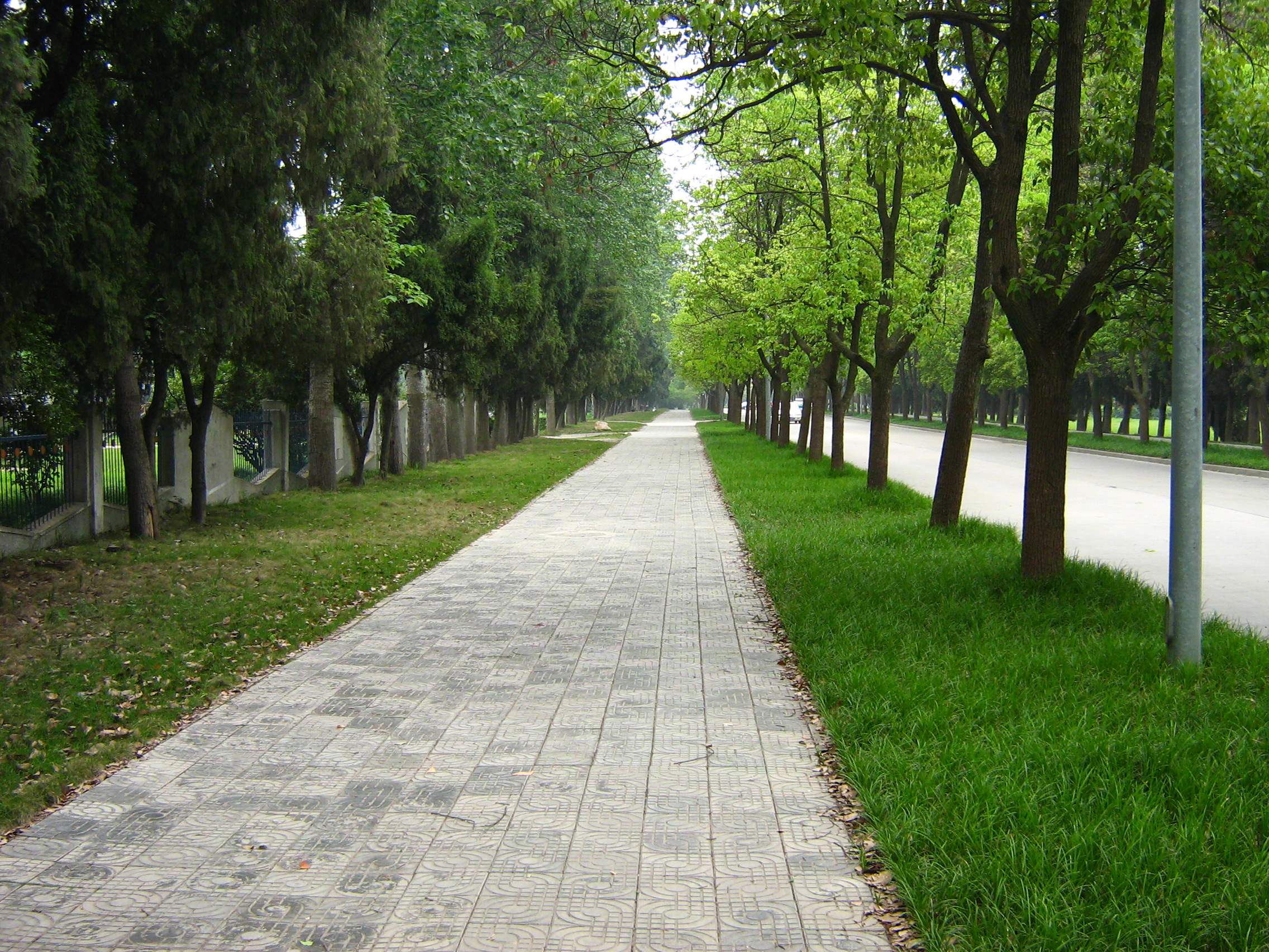科学岛